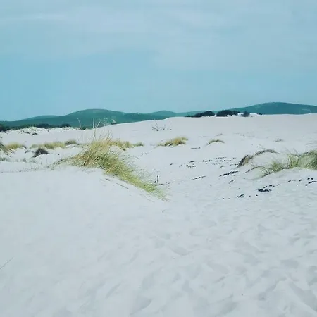 Kitesurf 1 - Gli Ulivi Appartamento
